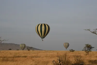 DSC_3772 (Large).JPG